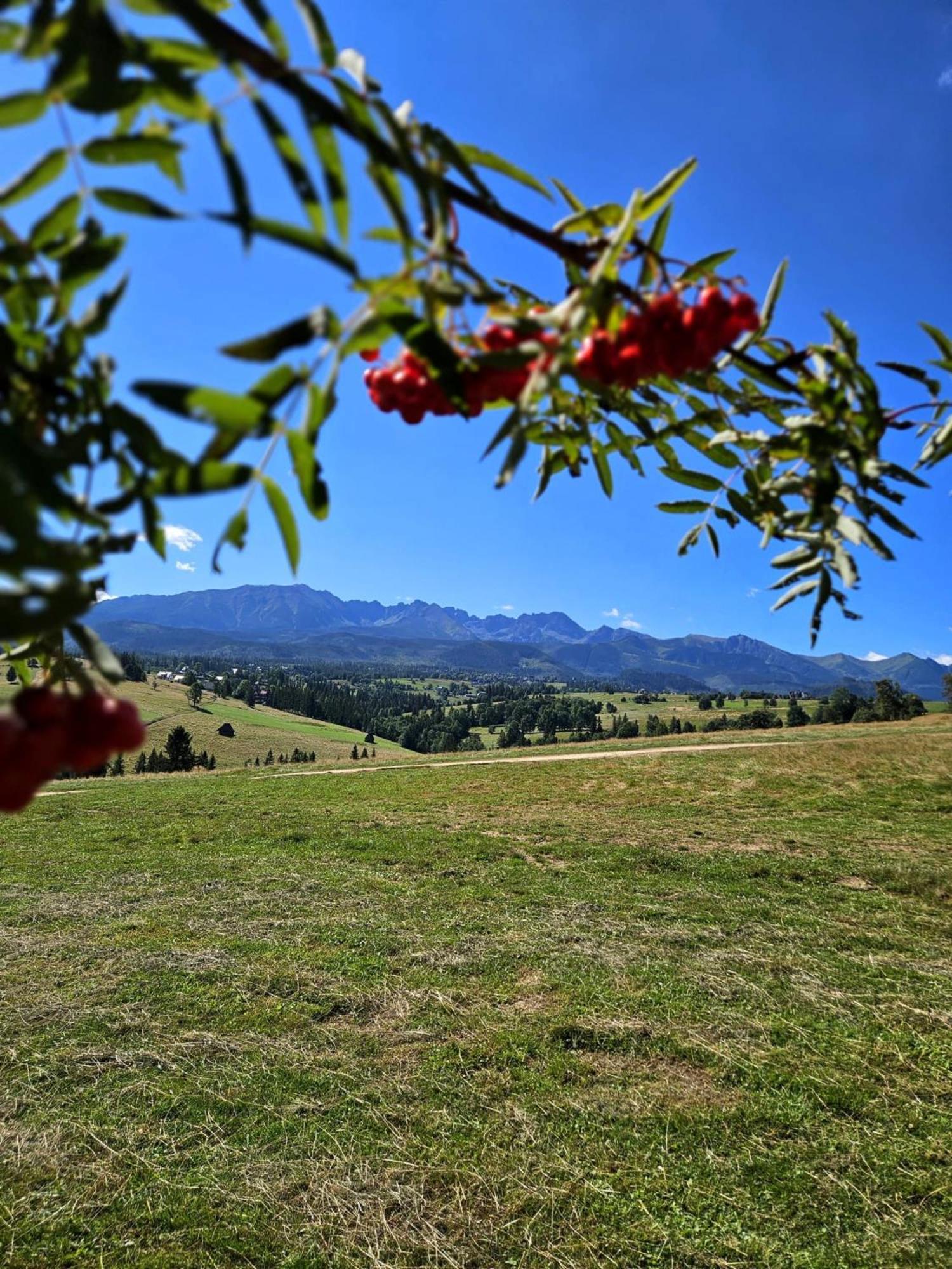 Goralska Chatka 2 Highland Cottage - Split Ac, Jacuzzi, Sauna, Private Parking, Mountains View, Garden, Zakopane Extérieur photo