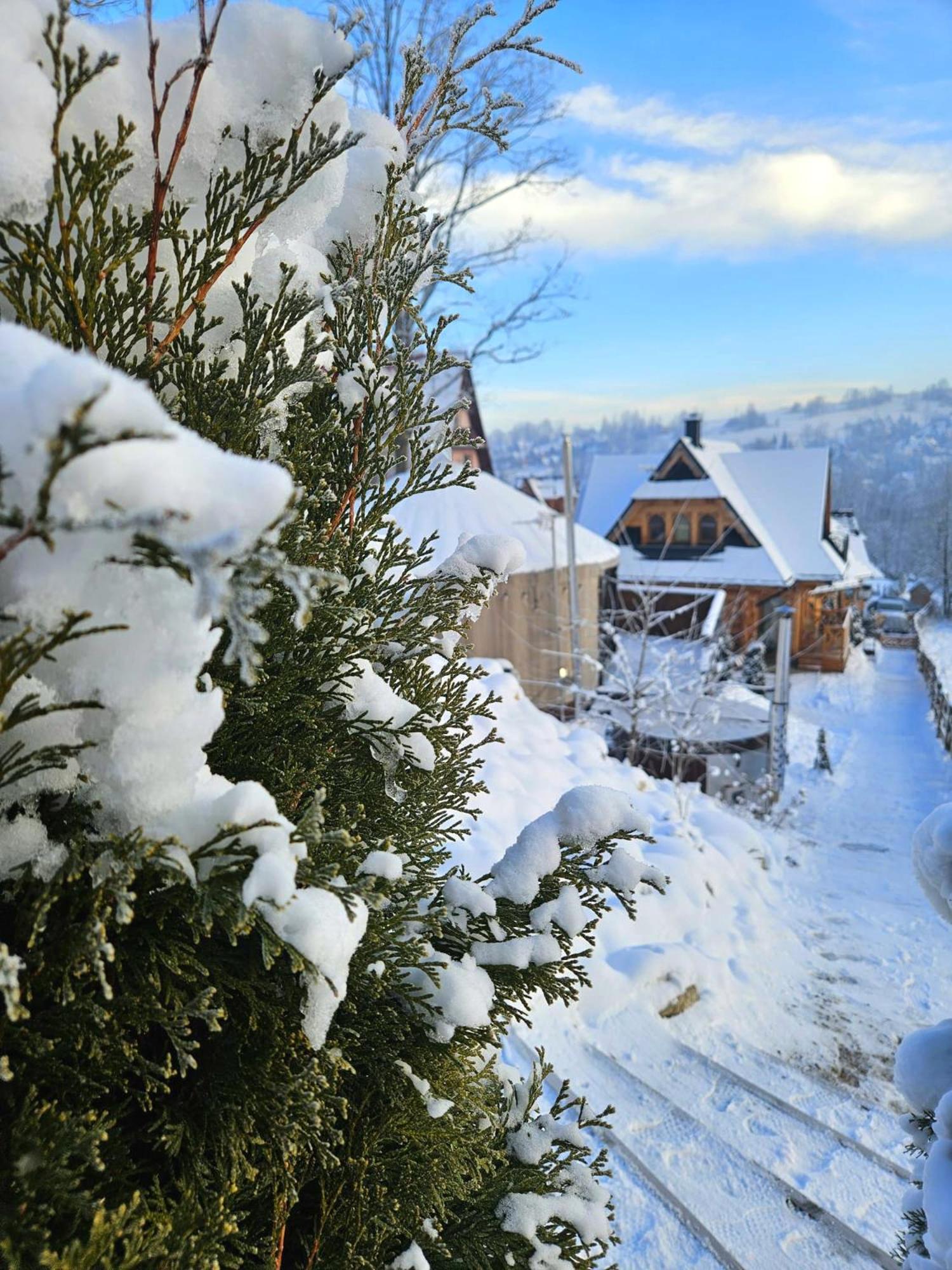 Goralska Chatka 2 Highland Cottage - Split Ac, Jacuzzi, Sauna, Private Parking, Mountains View, Garden, Zakopane Extérieur photo